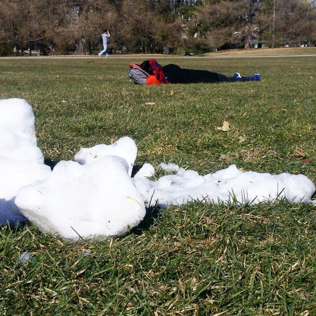 There's still some snow, but it's already feeling a lot like #spring on central campus! Go… ift.tt/210olm0