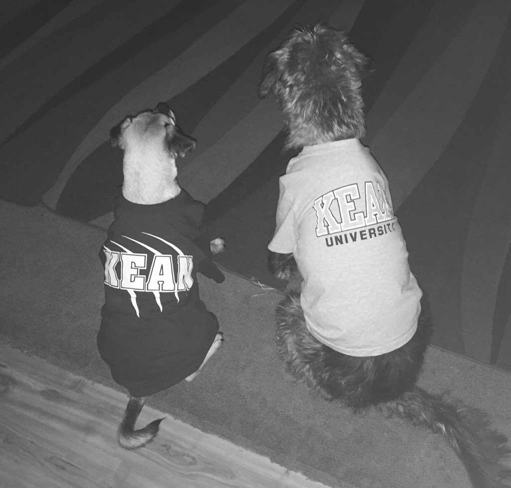 KeanUniversity's tweet image. @KUPlayFurPaws bonus points if they're sporting Kean gear. #KeanPride