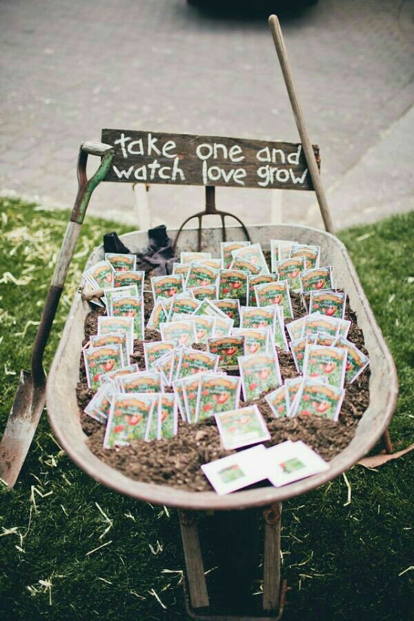 sharethebliiss's tweet photo. Watch love grow with these seed wedding favours 🌱💕 #weddingfavor #budgetbride https://t.co/vQURLjrMky
