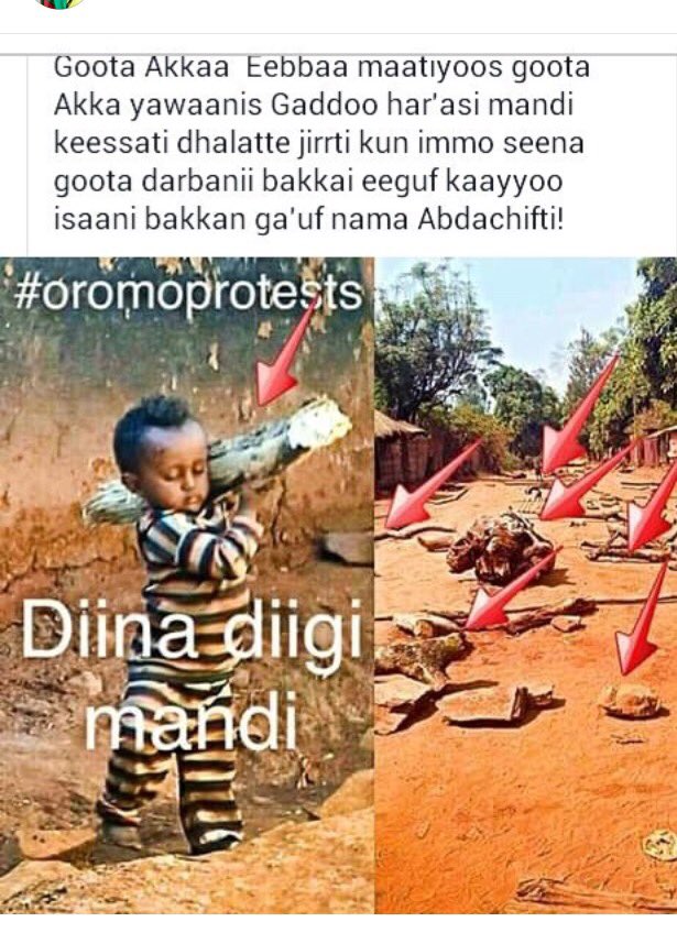 iftuaga's tweet photo. #OromoProtests https://t.co/n1ZqUYhCXB