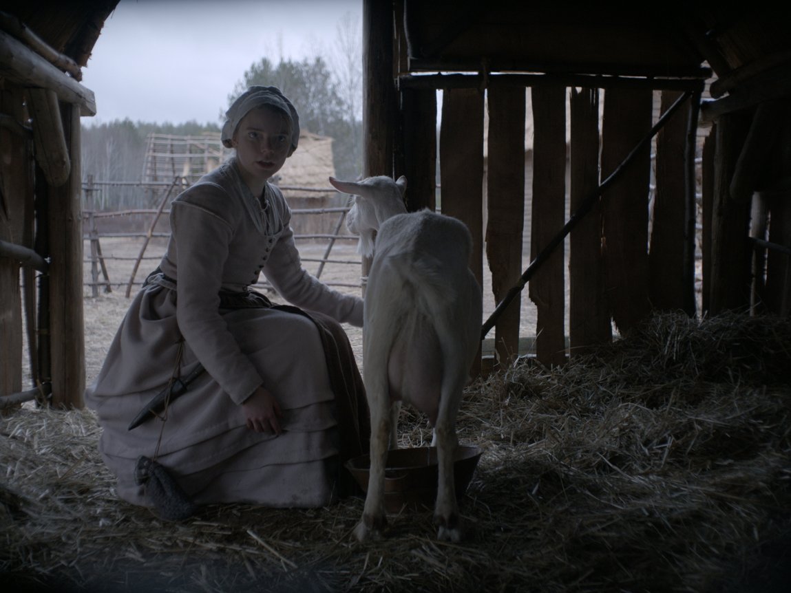 wymsee's tweet photo. Have you seen #TheWitch yet? #LindaMuir goes into great detail on color and fabric #mustread https://t.co/mX4jIoyfK0 https://t.co/F21LiNbbVm
