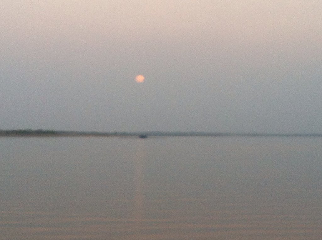 Pavan9010's tweet photo. Guuuuu. . ? https://t.co/n0uuyQpSHj