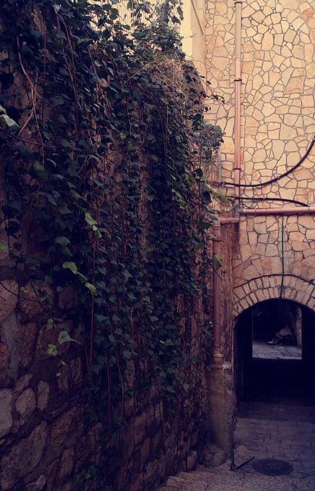 aboodtimraz's tweet photo. لو نمشي بشوارع القدس ونضيع هناك 🙏❤️ https://t.co/XOPc9E62nN