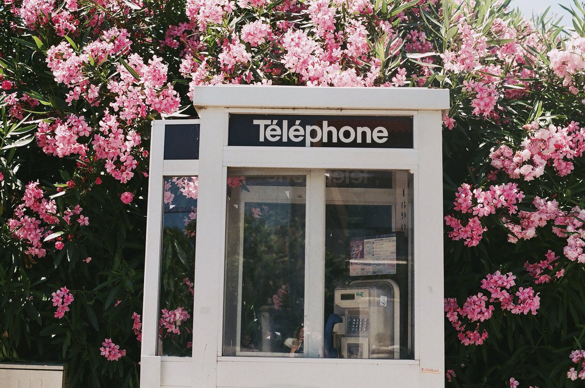 CoEditCollect's tweet image. Read our interview with the incredible artist Jacqueline Harriet, on CoEdit now bit.ly/1oN3Rl3 @jacqharriet