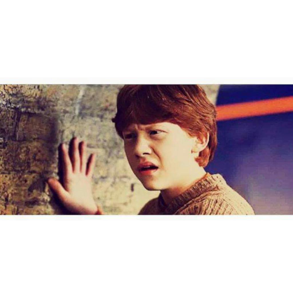 TheHPfacts's tweet photo. Him: i've never watched Harry Potter   

Me: 
https://t.co/0bk3dAgWx5
