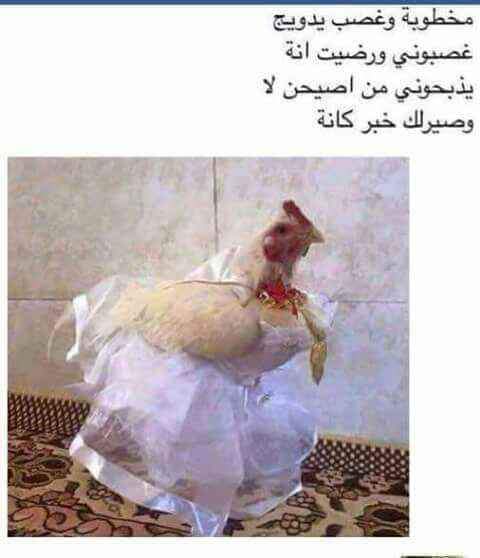 كسروو گلبي الله يعينهم 😓😓