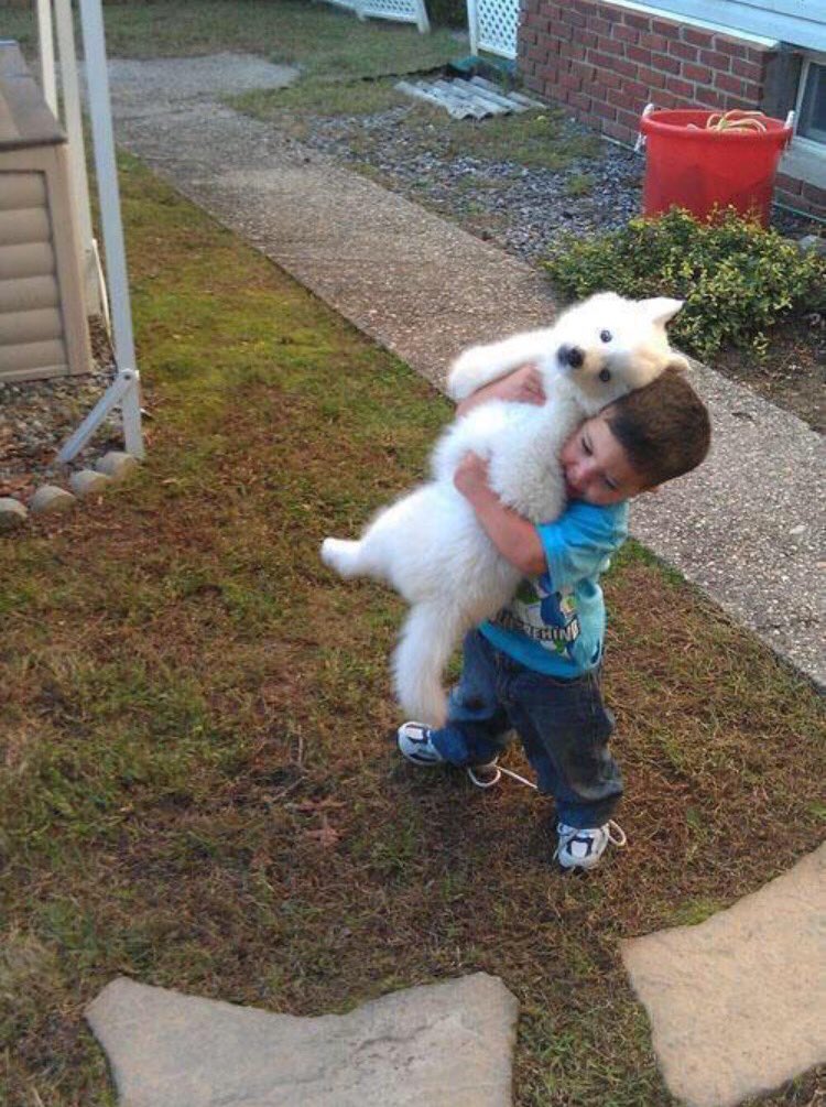 TweetMoreStuff's tweet image. Every time I see a dog