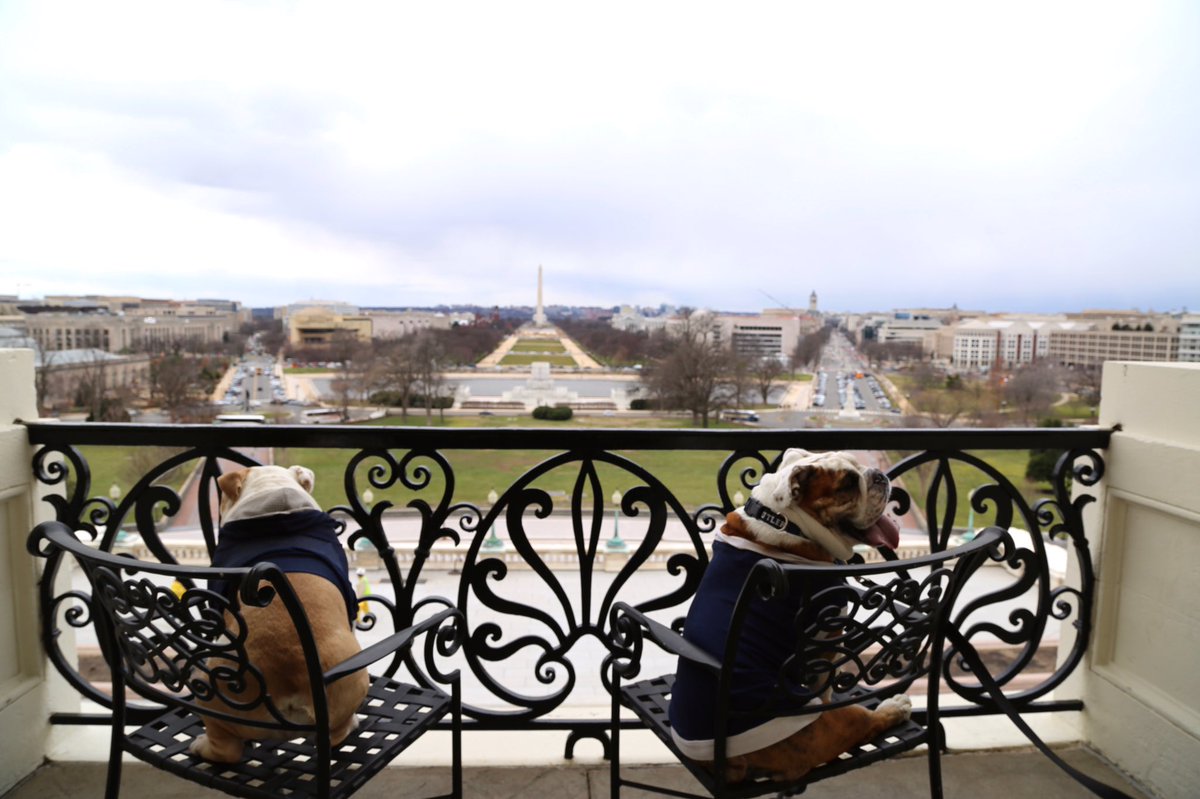 ButlerBlue3's tweet photo. Our instincts demonstrate strong vision. Butler Blue &amp; @GeorgetownJack in 2016! #CanineParty https://t.co/hfF2k7pnkl https://t.co/i7fjN4AqSq