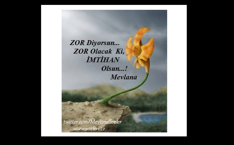 "Zor diyorsun. Zor olacak ki imtihan olsun." Hz. Mevlânâ