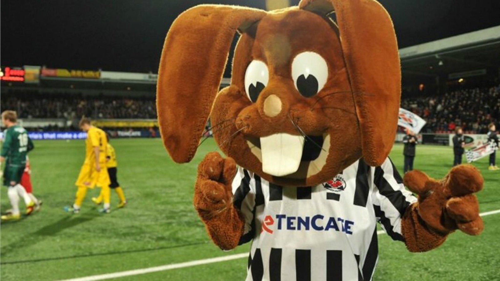 mascotte heracles almelo