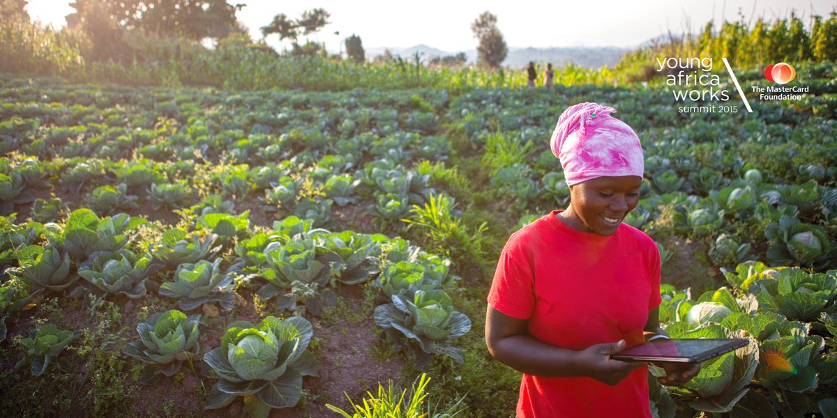 MastercardFdn's tweet photo. Released today: the Young Africa Works Summit 2015 Report https://t.co/ItCgnt4cwf #YAW2015 https://t.co/l8ZKb2tgvz