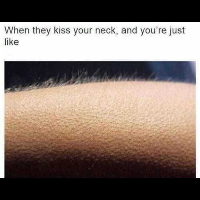 Anyone else? 🙋🏽 💋💋💋💋💋 https://t.co/07p0SHacZ6<a href="/tag/catfish"class="tags"><span>#catfish</span></a>