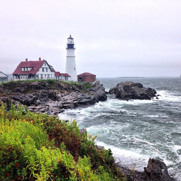 chasewhimsy's tweet photo. The rocky coast, the mountains, the lighthouses. Maine is teeming with beauty! Where is your favorite hidden beauty? https://t.co/fgEE4wweFL