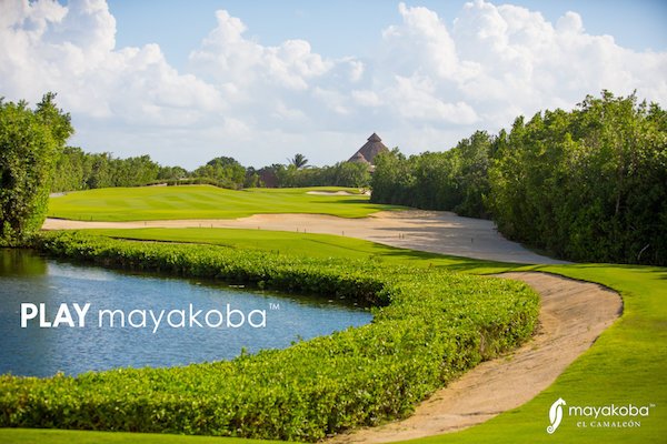 ErnestoCSchultz's tweet photo. mayakoba: golfmayakoba El Camaleón te esta llamando… es hora de #JUGARmayakoba.
#golf #playadelcarmen https://t.co/LWuKA3Xf7W