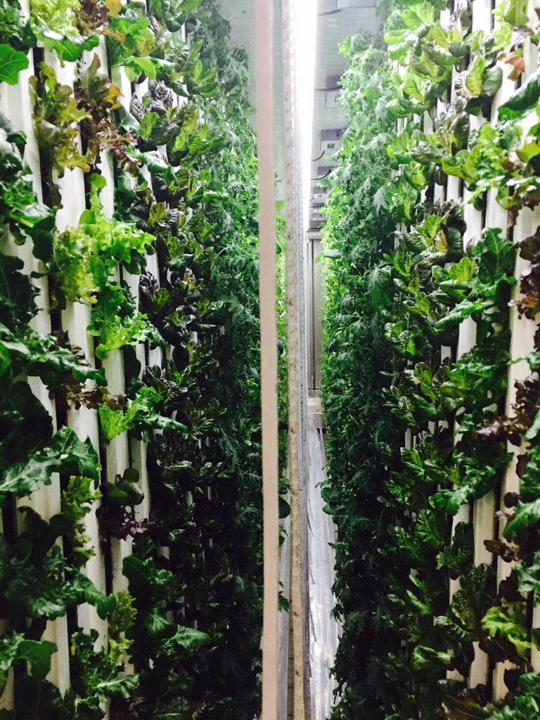 Freight Farms tweet media