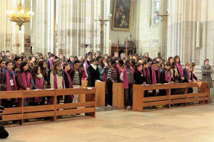Diocèse de Nantes tweet media