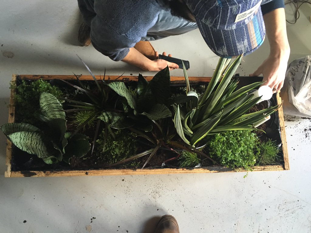 AirBox prototype w automated irrigation and data feed: bit.ly/1n22QDQ #cleanair #IoT #Arduino <a href="/PLANT_GROUP/">PLANT Group</a>