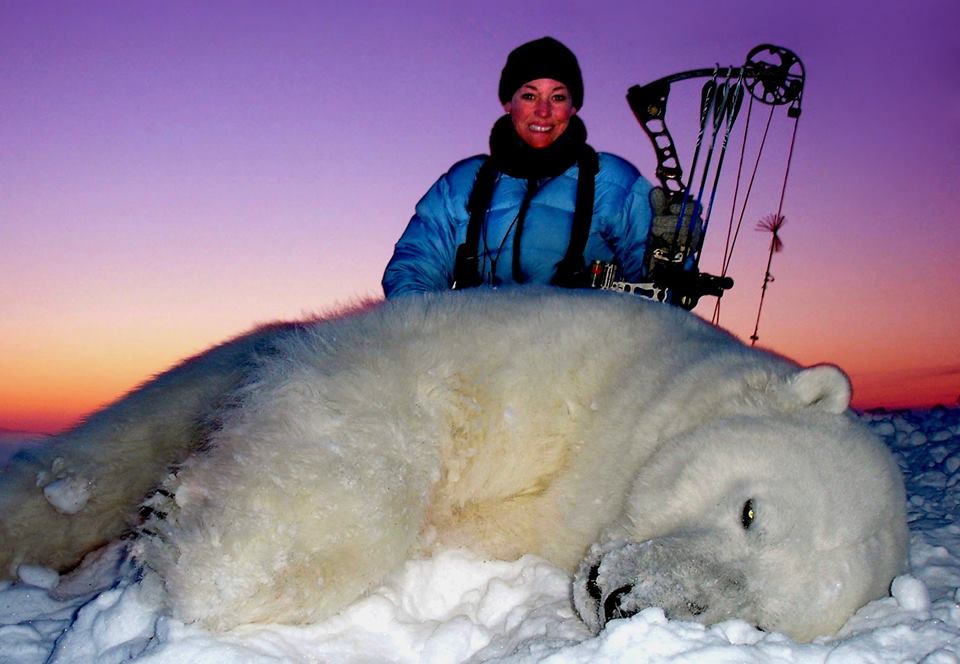 monde_biodi's tweet photo. 35 000 dollars canadien.
Tel est le prix à débourser pour tuer l'un des 15 000 derniers ours polaire du Canada. https://t.co/oB4vSFpm8q