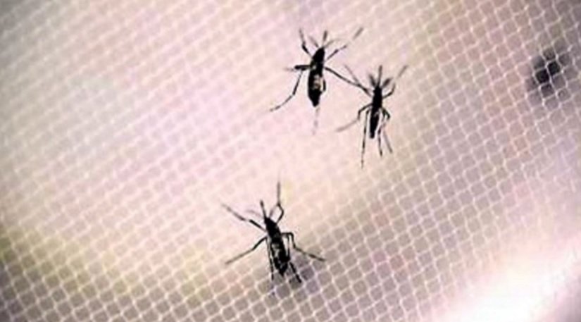 Two more Zika cases were reported in Miami-Dade and Broward counties Friday bit.ly/1oEWqfa?utm_me… https://t.co/SRrcM3x6kQ