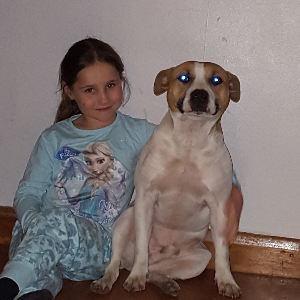 A1Simmo's tweet image. Holly and roman