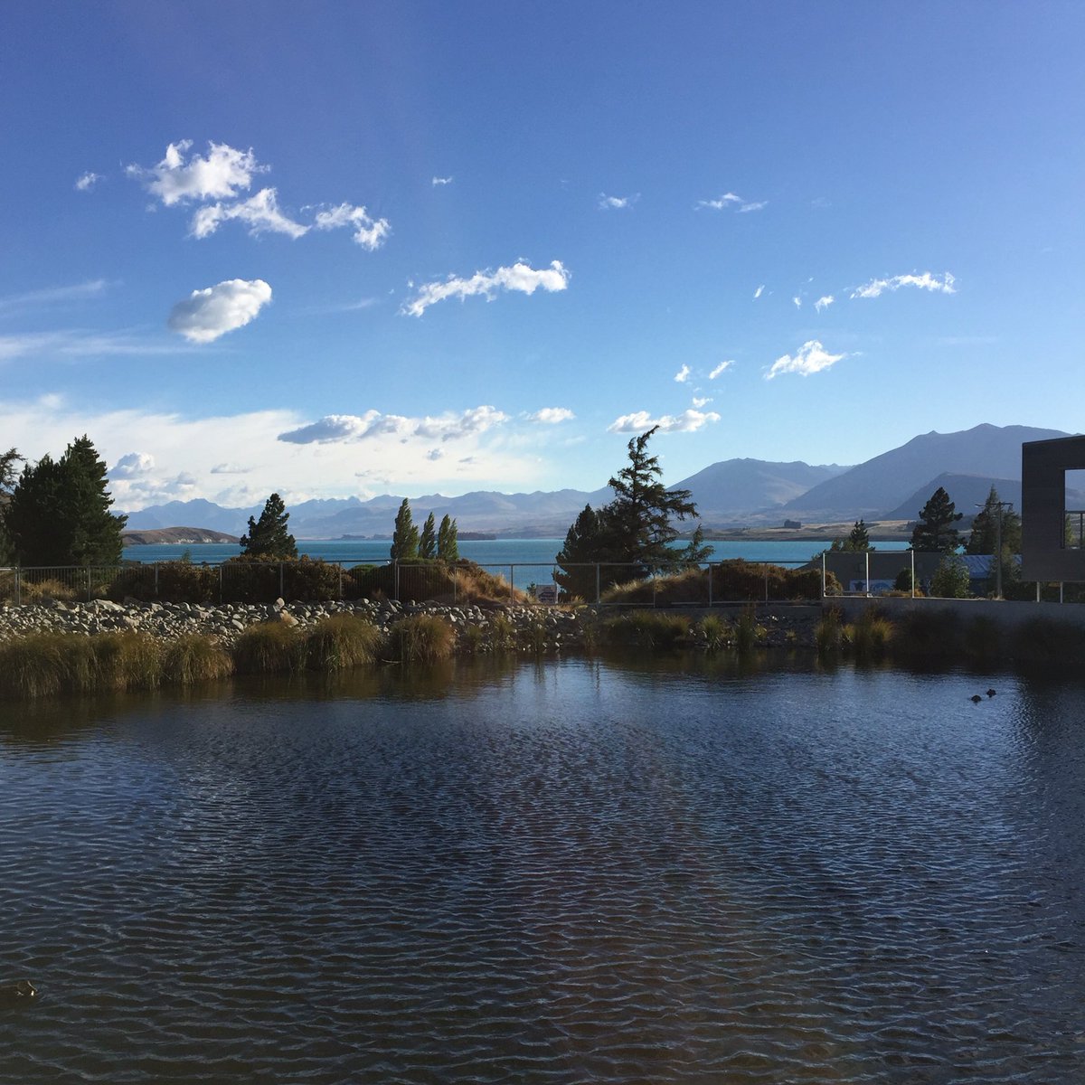 AceskiNZ's tweet photo. Not a bad way to start the day @AssurityNZ conference #tekapo https://t.co/hl7WdjYhYG