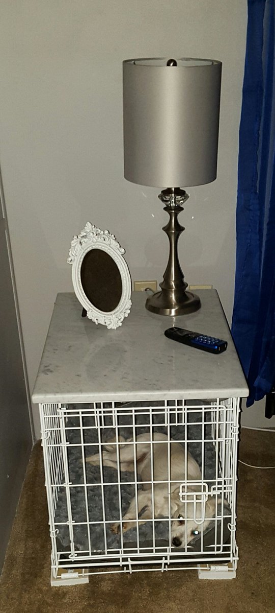 4PawzPrep's tweet photo. #4PawzPrep Crating a dog should always be about security, never punishment. https://t.co/71Aq5EwO0z
