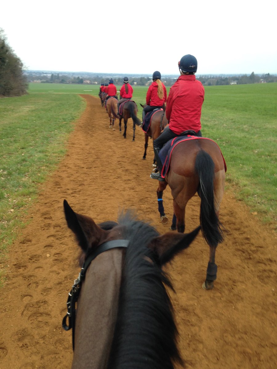 Riding on the Heath with course 300 this morning!! Luckily I had a great ride on Simple rhythm