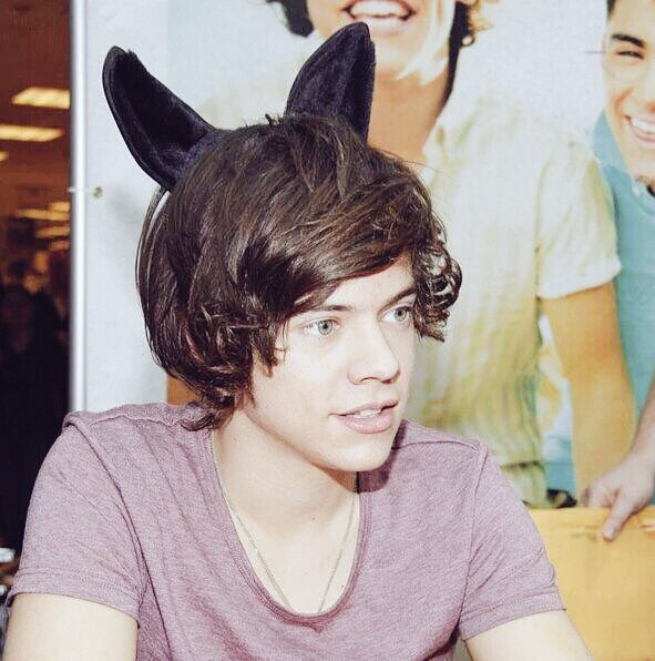 SmolPrincessH's tweet image. 