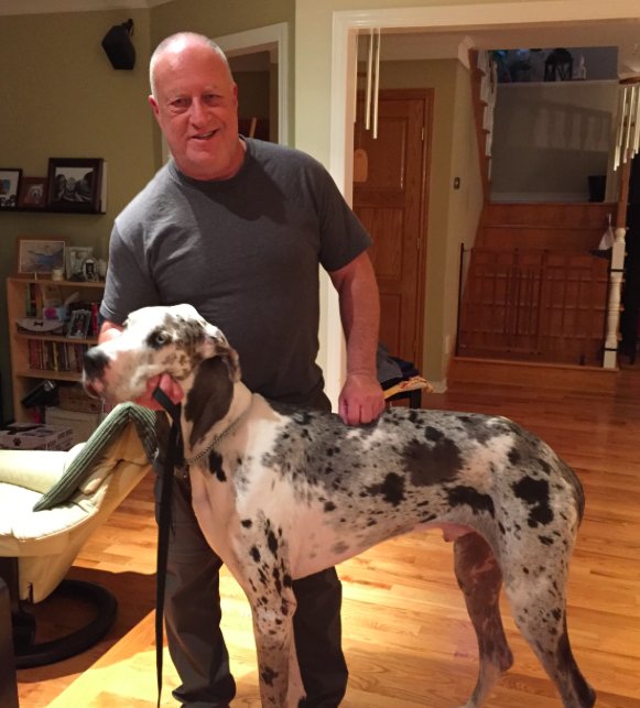 TrainingJr's tweet image. 