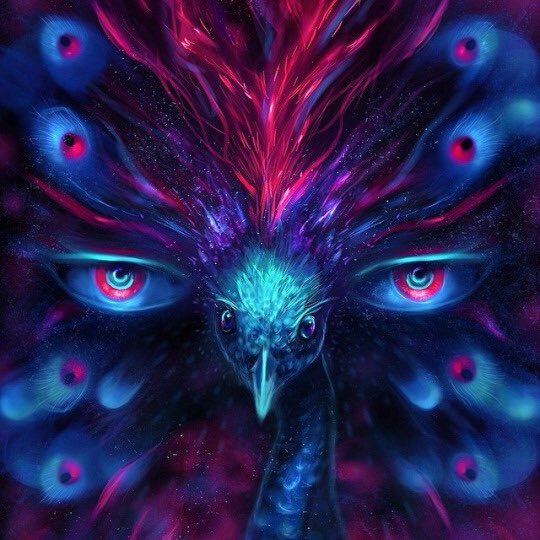 LowKeyLedge's tweet photo. https://t.co/WEQnfa9pDz