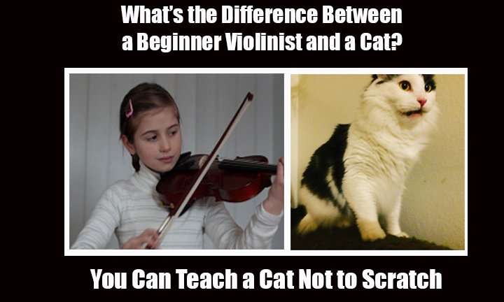 TLViolin's tweet photo. Which one of these violin jokes is your favorite!? https://t.co/hI7taVBG9V #violin https://t.co/s02LXV8yFQ