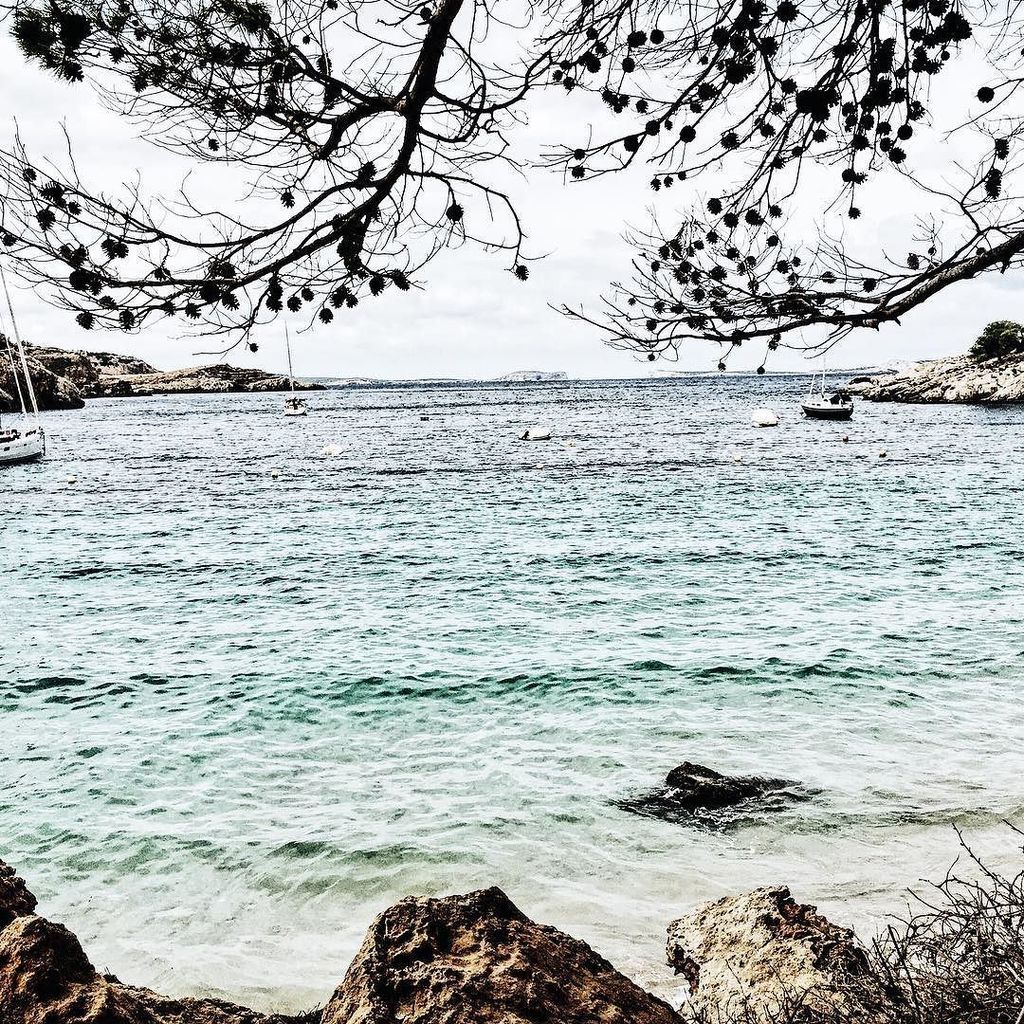 InstaIbiza's tweet photo. clarity.
#Ibiza #europe #backpacking #backpackingthrougheurope #travel #traveller #explor… https://t.co/WNGjvMt2EZ https://t.co/1DuDbm3gJx