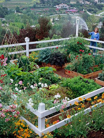 RT x.com/gardens_today/… DIY: Grow Up with Raised Beds Plus Other ... - #gardens #garden #gardening #landscapin…