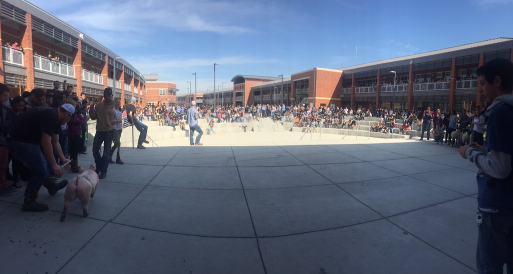 ecgauchos's tweet photo. Thank you for a GREAT week, @Elcapffa2015! And thank you for your participation, Gauchos! #ffaweek2016 https://t.co/UBeab6Oo4X