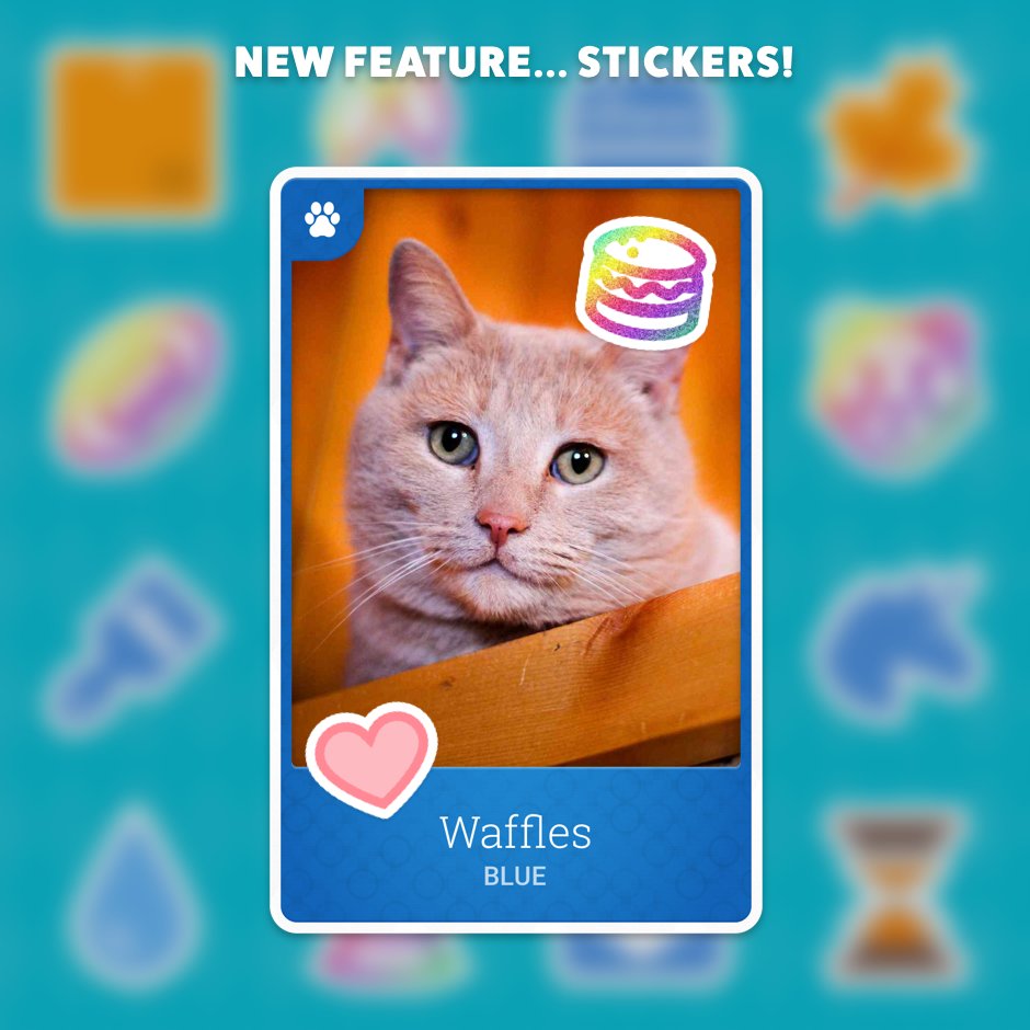 playkittencards's tweet photo. Personalize your kitten card with these awesome stickers! 🦄💀🍔 Adding one to a card makes the CP value go up. 😸 https://t.co/iPQMCksqJk