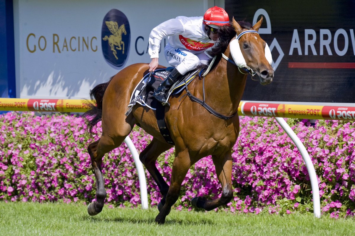 Dynamic Syndications tweet media