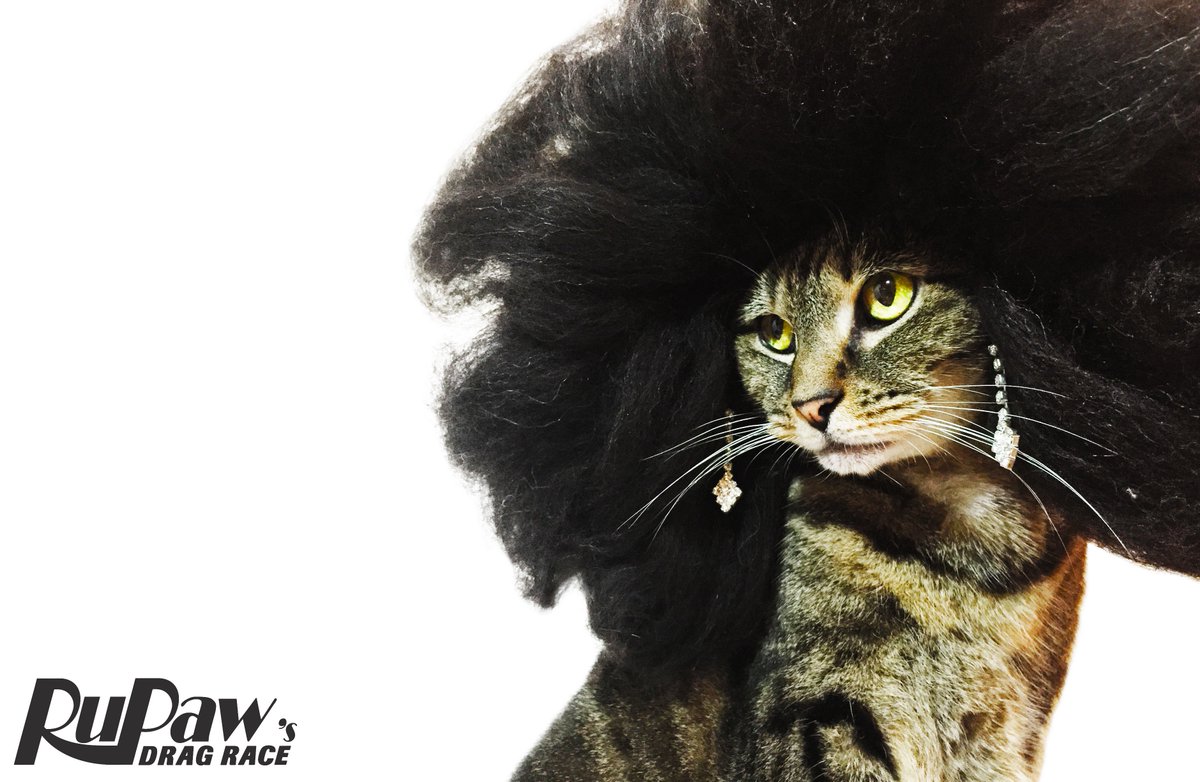 RuPawsDragRace's tweet photo. Waiting for Season 8 like............ππ»
#RPDR8 π
#rupaulsdragrace #rusolutions #rupaul #bornnaked #drag #queen https://t.co/laAMRApmlF