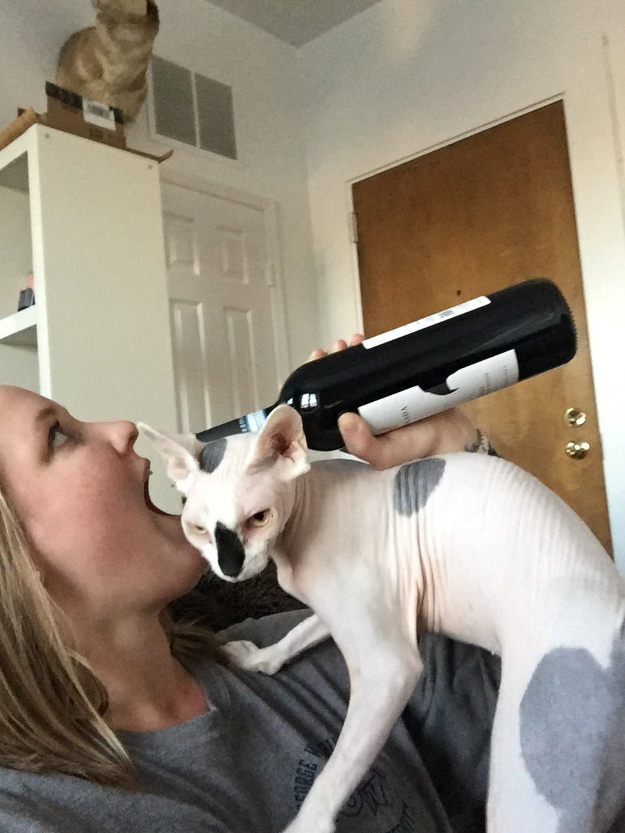 TravelingTally's tweet photo. Don't tell my dads @Leslieogus and I broke into the good wine! #whileyouraway https://t.co/qEcC0J7Lkm