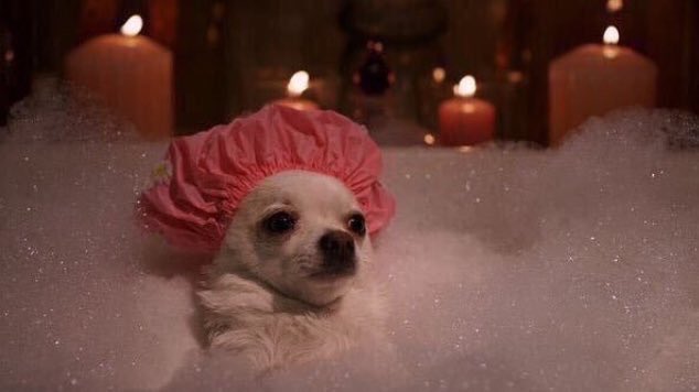 Me minding my own business and enjoying life