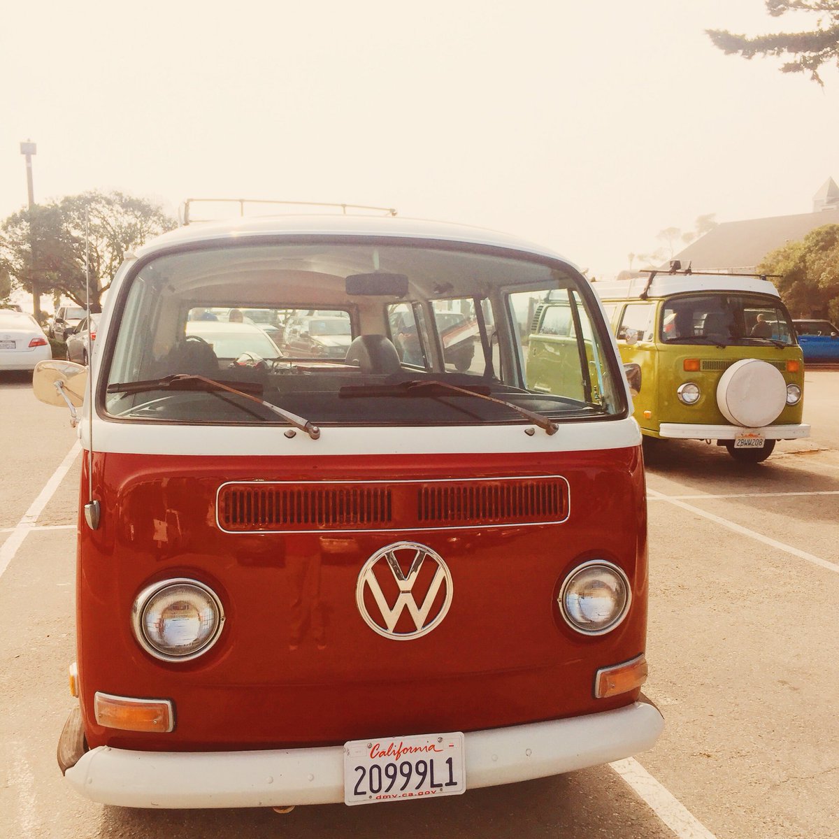 Vantigosf's tweet photo. Lillie's making some new friends on the Highway 1 Brew tour today :) #VW #vwbus #vanlife #vantigo #kombi #vwkombi https://t.co/DvzHM58pwj