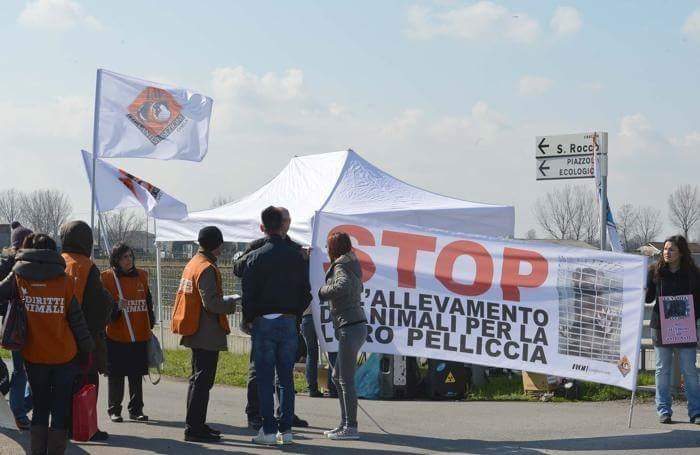 #Antegnate stop del #Tar all'allevamento di #Visoni m.facebook.com/story.php?stor…