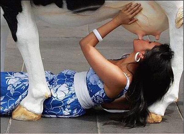 WindsorRoberta's tweet photo. Milk appreciation #StuffThatShouldComeWithInstructions https://t.co/YkSFKBIUnr