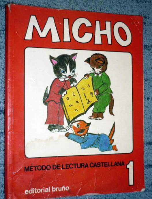 No había vídeos de gatitos, pero teniamos a Micho.