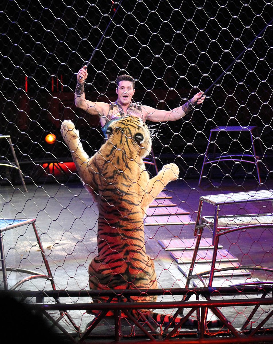 peta's tweet photo. ICYMI: Yesterday PETA tweeted live from #RinglingBros, The Cruelest Show on Earth. #LiveAtRingling https://t.co/FuSHf4Q9AK
