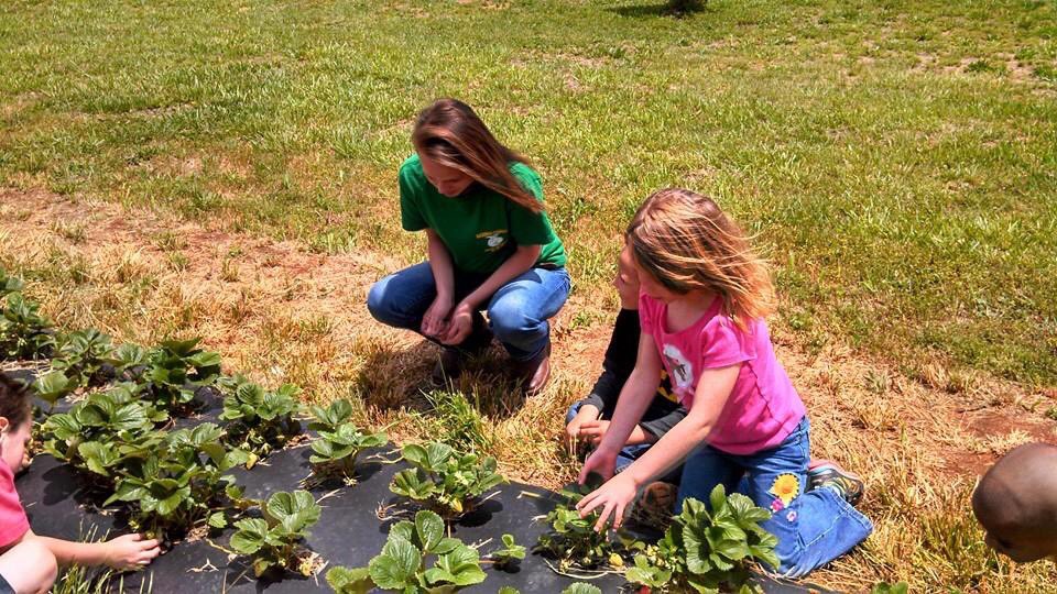 growfuture's tweet image. Grow Your Future helps teach children about agriculture