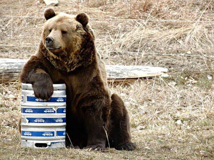 outsidemagazine's tweet photo. #TGIF (Photo: Zoo Montana) https://t.co/psqBNpbfnQ