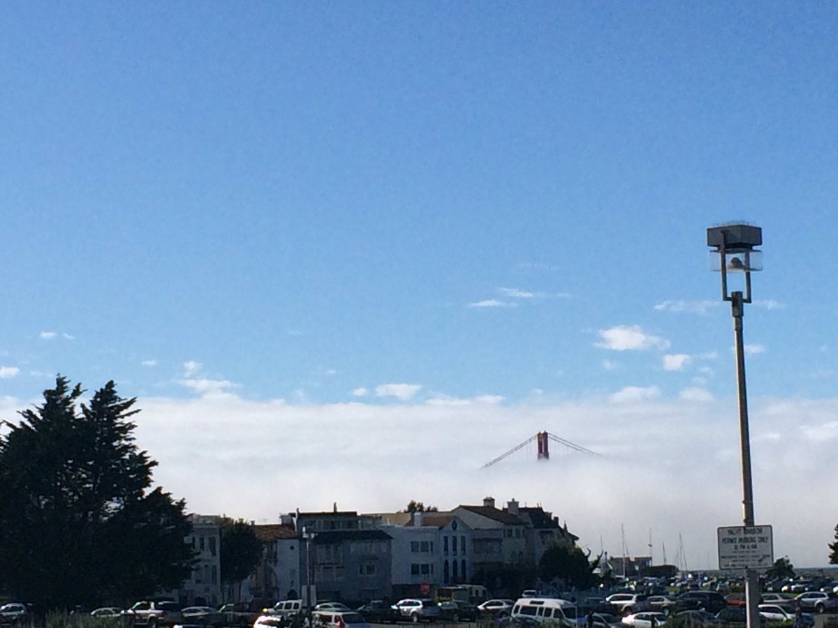 BigBalli's tweet image. #justthetip #goldengatebridge #launchhackathon #SanFrancisco