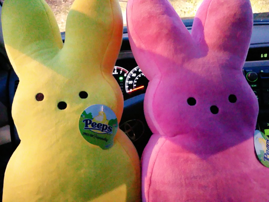 peep plush walgreens