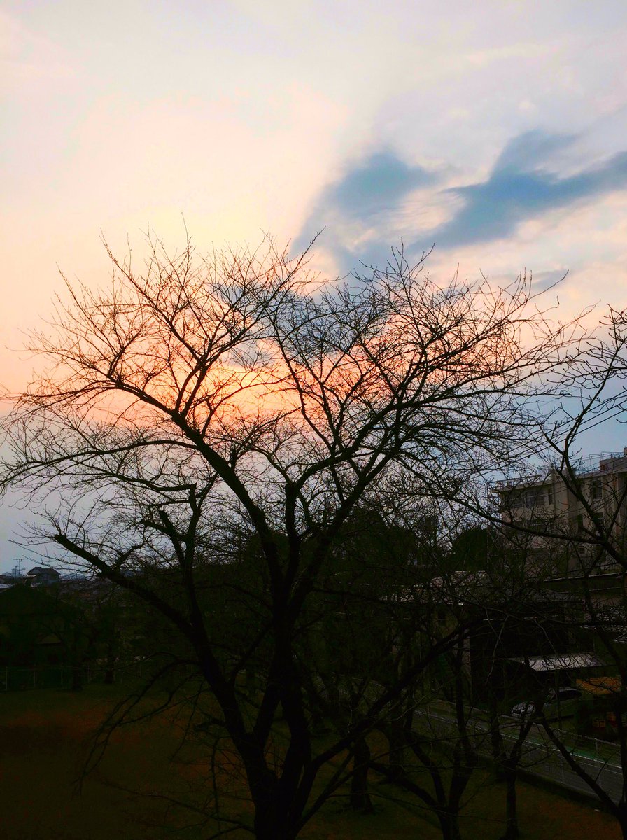 38sun3's tweet photo. おはようございます(o^^o)🌸の木々もゆっくり芽が膨らんでます(^-^)/ https://t.co/Ke4pqIQhcB