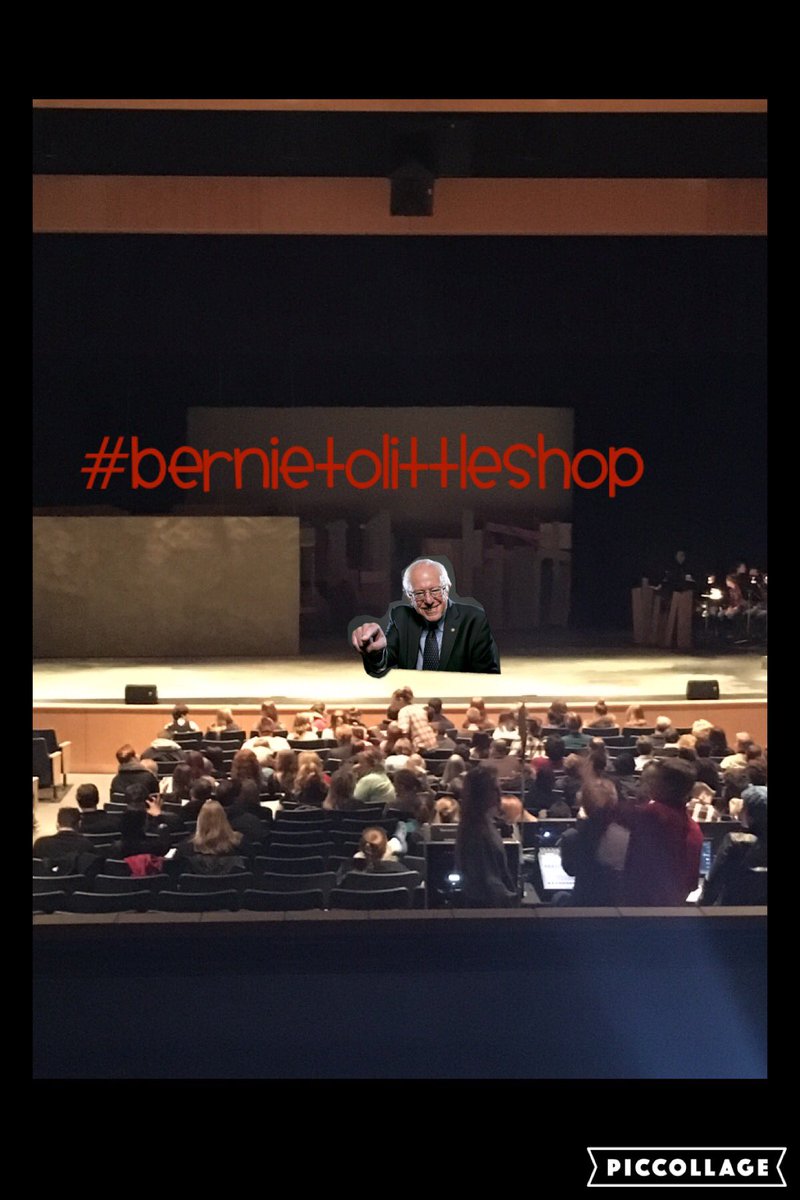 Sunny Bees tweet media